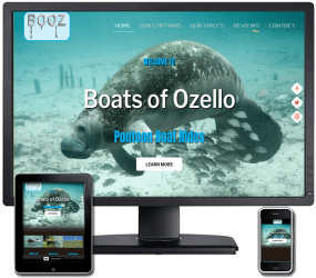 Boats of Ozello - Pontoon Boat Rides